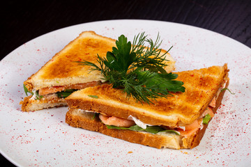 Delicious salmon sandwich