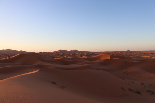 sahara desert,Merzouga © riohey