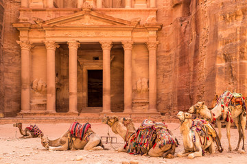 Camels resting near the ancient temple in Petra, Jordan - obrazy, fototapety, plakaty