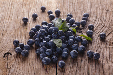 Sloes on board