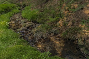 Small creek Slatinny in Krusne hory mountains