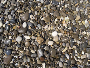Wet colored stones lie on the beach