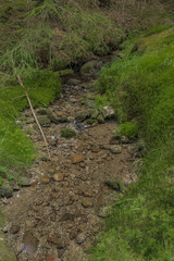 Obraz premium Small creek Slatinny in Krusne hory mountains