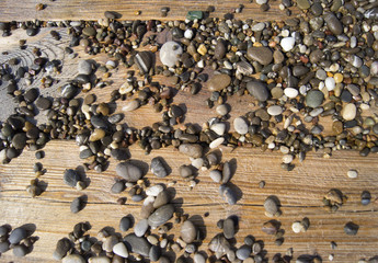Fototapeta premium Wet colored stones lie on the beach