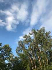 Clouds over the River