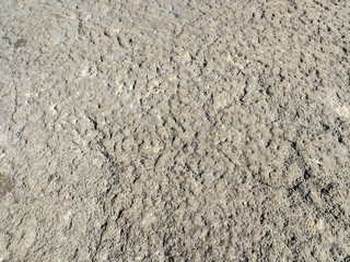 Textura de piedra