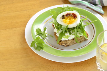 Toast with cream cheese, arugula and boiled egg, healthy breakfast, copy space