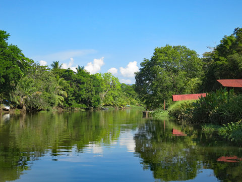 Landscape of Costa Rica in Sierpe
