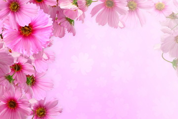 pink flower texture background for peace meditation spa health freedom nature concept background