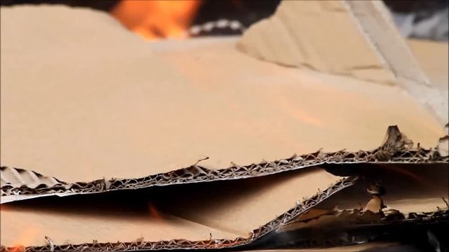 burning cardboard, close up of flames and ash
