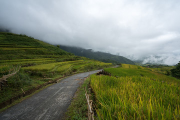 Fototapeta na wymiar Terraced rice field landscape with low clouds in Y Ty, Bat Xat district, Lao Cai, north Vietnam