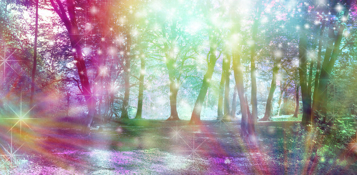 Fototapeta Supernatural Fantasy Woodland Scene - multicoloured row of trees with many white orb lights, sparkles and shafts of coloured light   