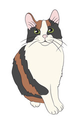 cat color, vector