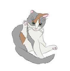 cat color, vector