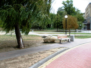 people walking in park