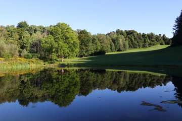 Reflections of tree line on a pond with a deep blue sky