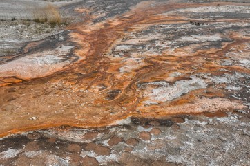 Yellowstone is a Popular National Park in Montana, Wyoming, and Idaho