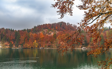 Obraz premium Green water lake and autumn forest