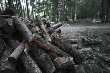 Fototapeta na wymiar Shabby doll buried under logs in a dark forest