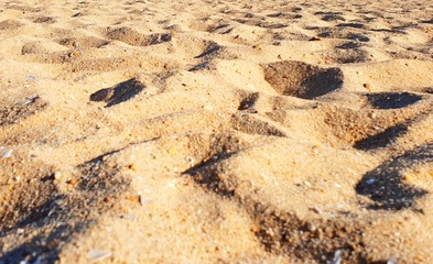 Beach sand close up