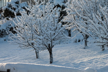 Winter, Norway