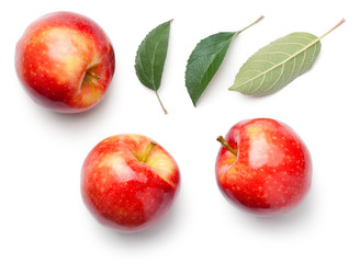 Red Apples Isolated on White Background