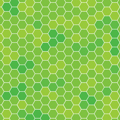 green spring hexagonal pattern- vector illustration