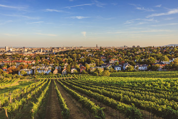 View from vineyards over Nussdorf in Vienna