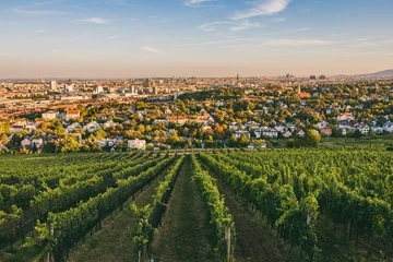 Zelfklevend Fotobehang Uitzicht vanaf wijngaarden over Nussdorf in Wenen © Silvia Eder