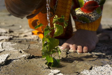 lonely sprout, made its way from dry clay soil, which is poured by water from a jug some woman in...