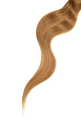 Brown hair isolated on white background. Long wavy curl
