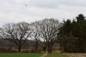 Obraz premium panorama am waldesrand fotografiert während eines spaziergangs in der natur norddeutschlands mit weitwinkelobjektiv