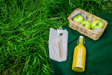 Summertime picnic concept. Light meal. Appetizers. Apple and juice on green grass top view copy space