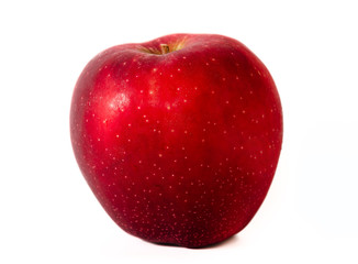 red apple isolated on white background