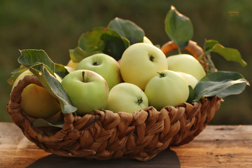 Ripe  apples in wicker basket closeup