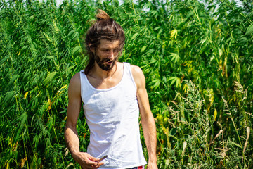 medical marijuana and industrial hemp field and handsome young farmer