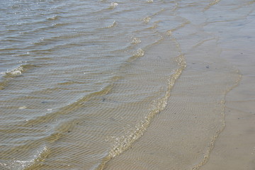 Surf