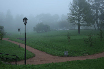Obraz premium lanterns along the sandy paths in the park during the fog