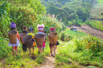 Das Mädchen und der Junge, die ein Hmong-Kleid tragen, tragen auf ihrem Rücken einen Bambuskorb auf dem Weg zu ihrem Dorf und zum Gemüsegarten im Phuhinrongkla National Park Nakhon Thai District in Phitsanulok, Thailand.