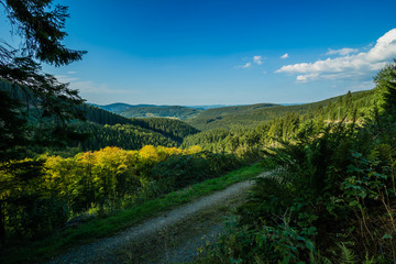 Unendliche Landschaften im Rothaargebirge