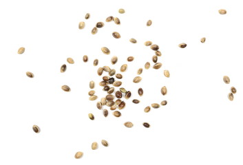 Hemp seeds isolated on white background