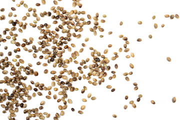 Hemp seeds isolated on white background