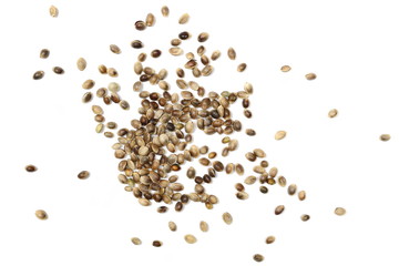 Hemp seeds isolated on white background