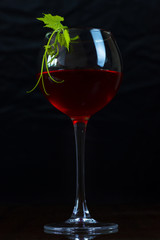 A glass of red wine and a branch of a young vine with a leaf on a dark red background