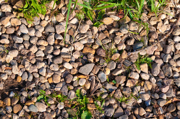 Small stones and grass