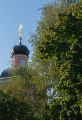 Chapel in the forest