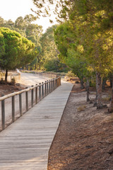 Mediterranean park by the sea - a path from boards along the trees - national nature reserve