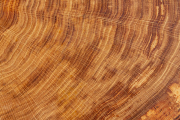 Tree cut. Wooden texture of the cut-off tree.Wooden background, Abstract background.The internal rings structure of the tree.
