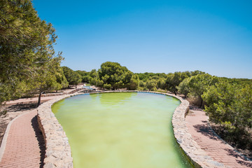 Fototapeta na wymiar A pool of stone with sea water in a tropical park