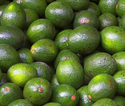 avocado close up
